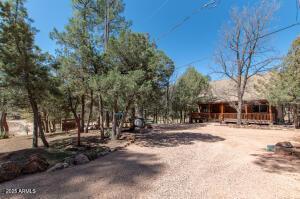 3458 N Meadow Dr, Pine, AZ 85544 - view of street