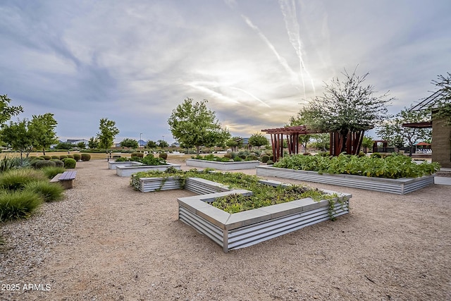 23060 E Sonoqui Blvd, Queen Creek, AZ 85142 - view of property's community featuring a vegetable garden