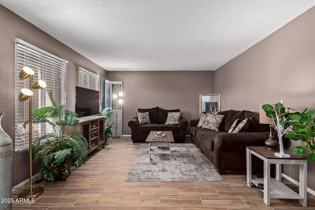 living room featuring a textured ceiling