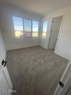 carpeted empty room featuring a healthy amount of sunlight