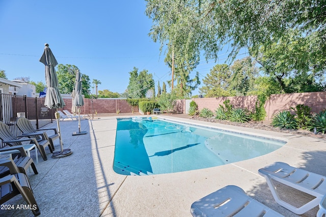 8049 N 16th Ave, Phoenix, AZ 85021 - view of pool with a fenced backyard and a patio area