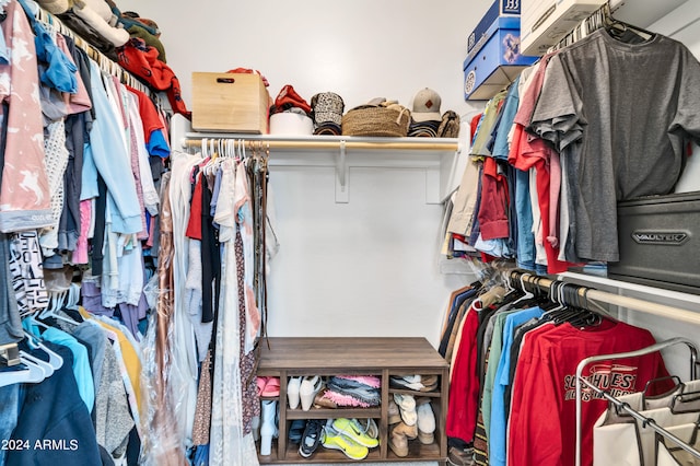 view of walk in closet