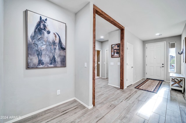 foyer featuring wood-type flooring