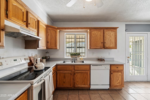 kitchen featuring white appliances, a healthy amount of sunlight, sink, and a textured ceiling