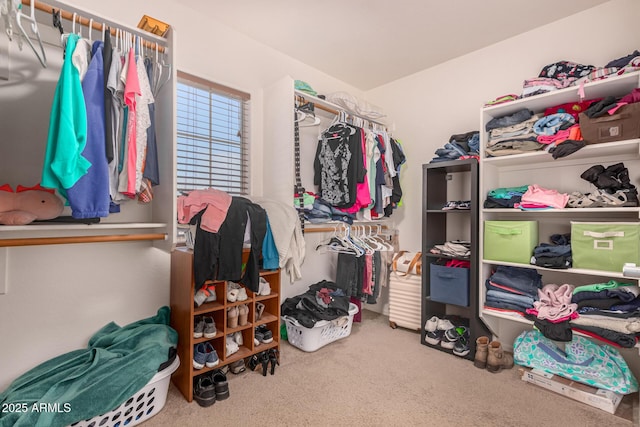 spacious closet featuring carpet flooring