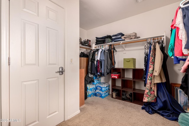 spacious closet featuring carpet flooring