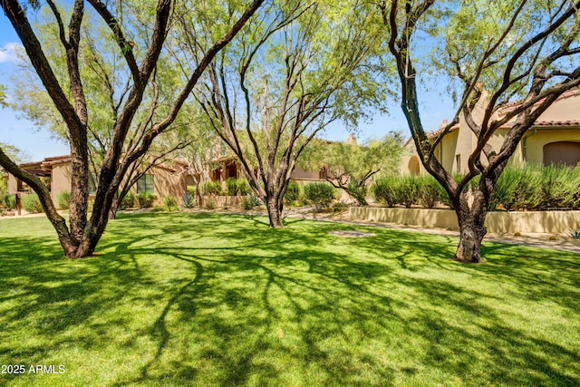 view of grassy yard