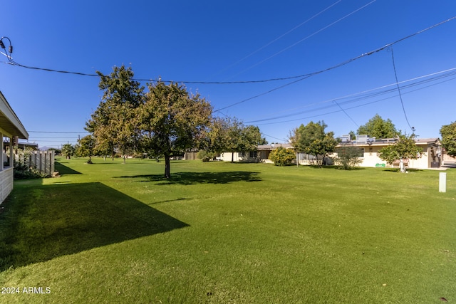 view of yard