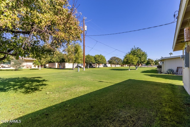 view of yard