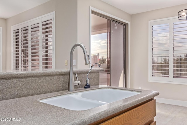 interior details featuring a sink, baseboards, and wood finished floors