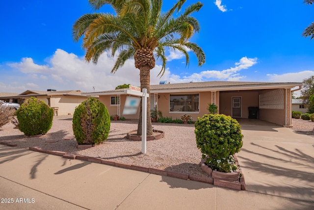 ranch-style house featuring concrete driveway and a carport