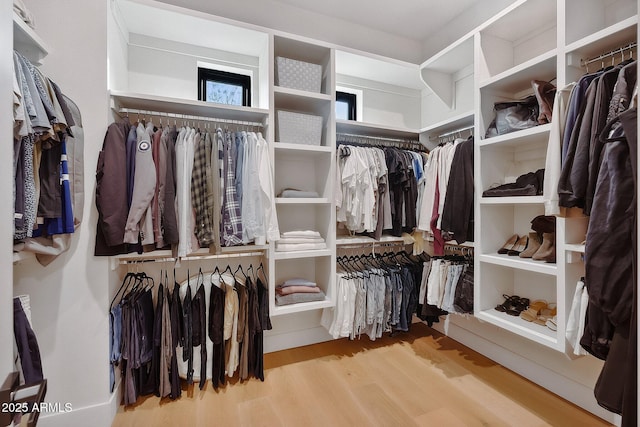 walk in closet featuring wood finished floors