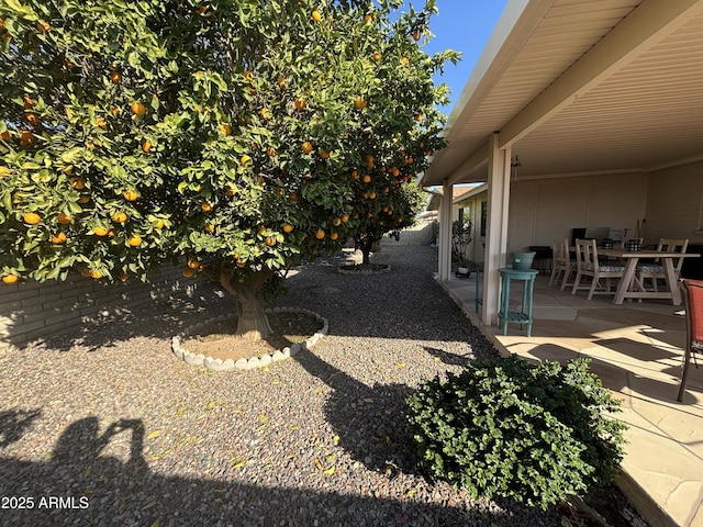 view of yard with a patio area