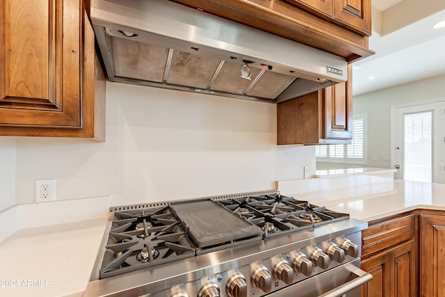 kitchen featuring range and range hood