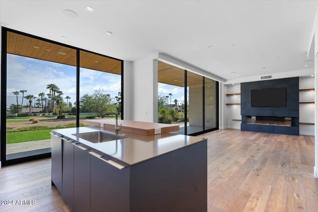 kitchen with light hardwood / wood-style flooring, floor to ceiling windows, a spacious island, and sink