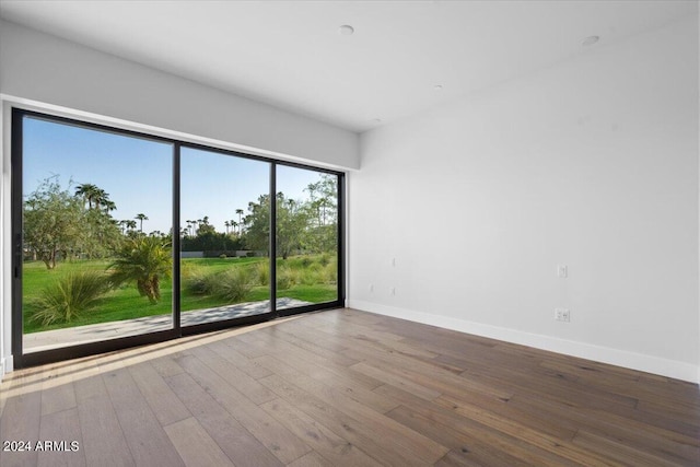 spare room featuring wood-type flooring