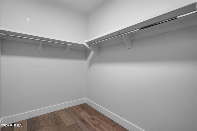 spacious closet with dark wood-type flooring