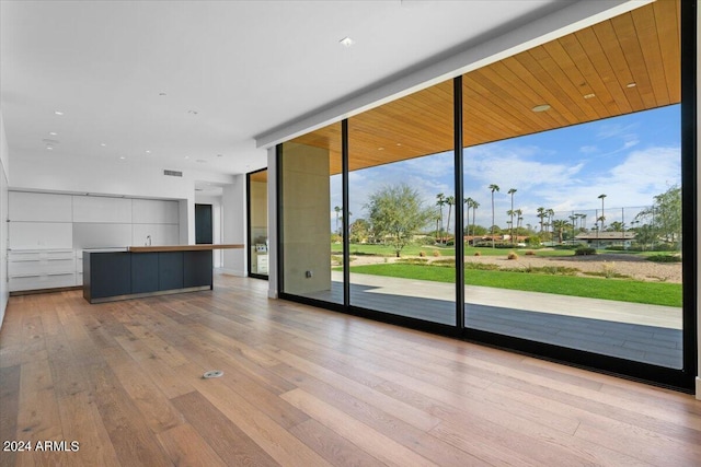 unfurnished living room featuring expansive windows and light hardwood / wood-style floors