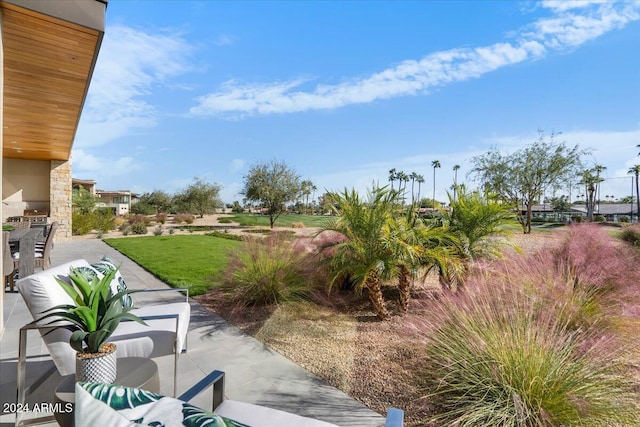 view of yard featuring an outdoor hangout area and a patio