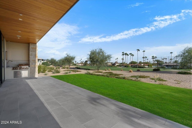 view of patio / terrace featuring an outdoor kitchen