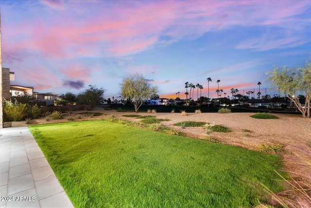 view of yard at dusk