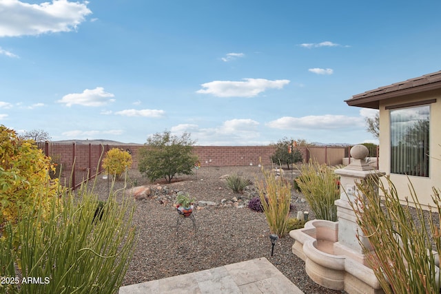 view of yard featuring a patio