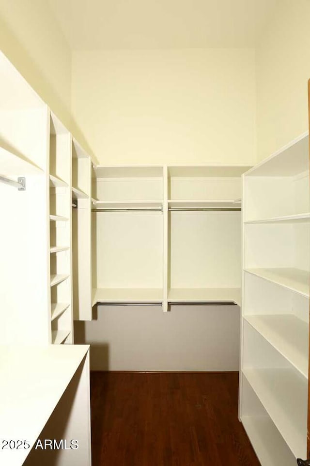 walk in closet with dark wood-style flooring