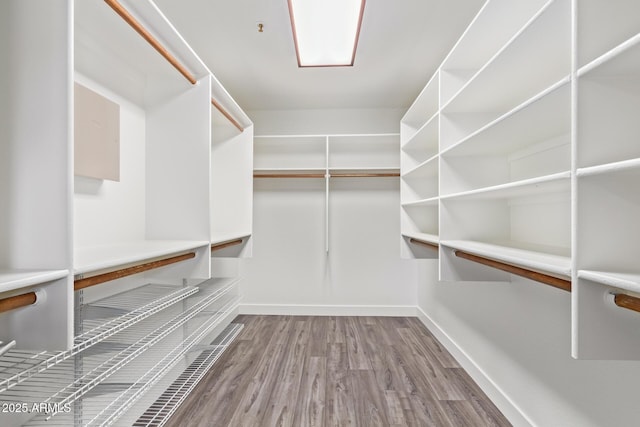 spacious closet featuring light wood-type flooring