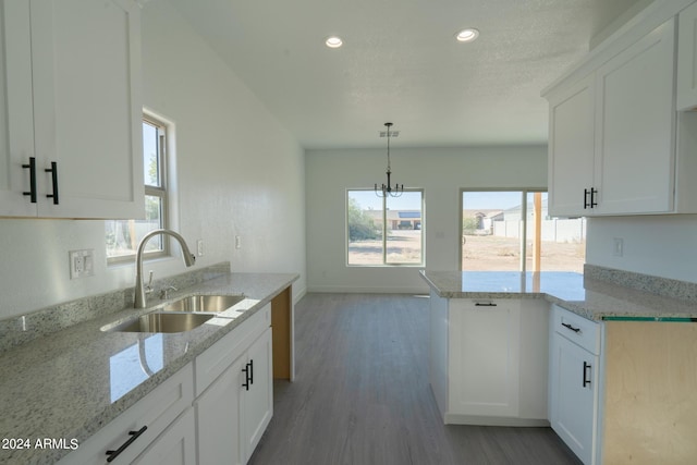 kitchen with a wealth of natural light, decorative light fixtures, sink, and hardwood / wood-style flooring