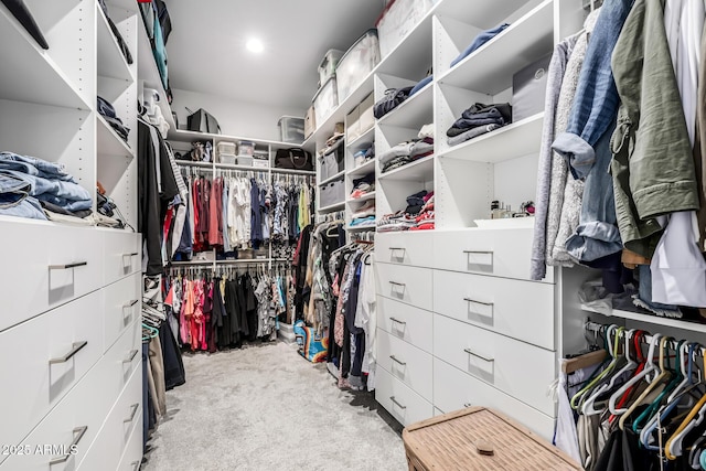 spacious closet featuring light carpet