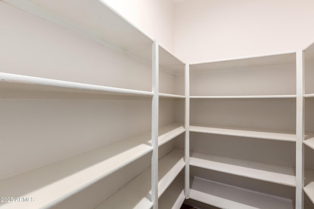46065 W Meadows Ln, Maricopa, AZ 85139 - view of pantry
