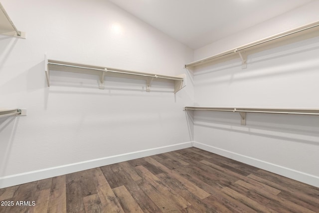 46065 W Meadows Ln, Maricopa, AZ 85139 - spacious closet featuring dark wood-type flooring