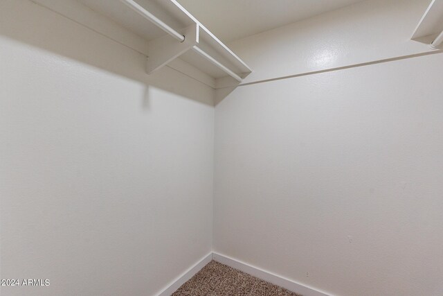 spacious closet featuring carpet