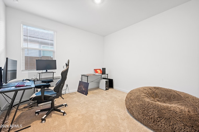 office space with light colored carpet