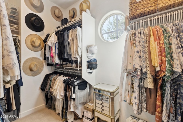 1941 W Yellowstone Way, Chandler, AZ 85248 - spacious closet with carpet flooring