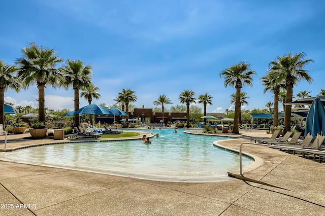 view of pool with a patio area