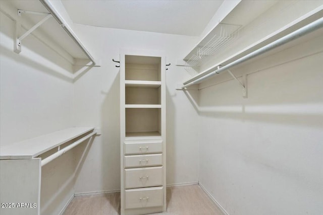 walk in closet featuring light colored carpet