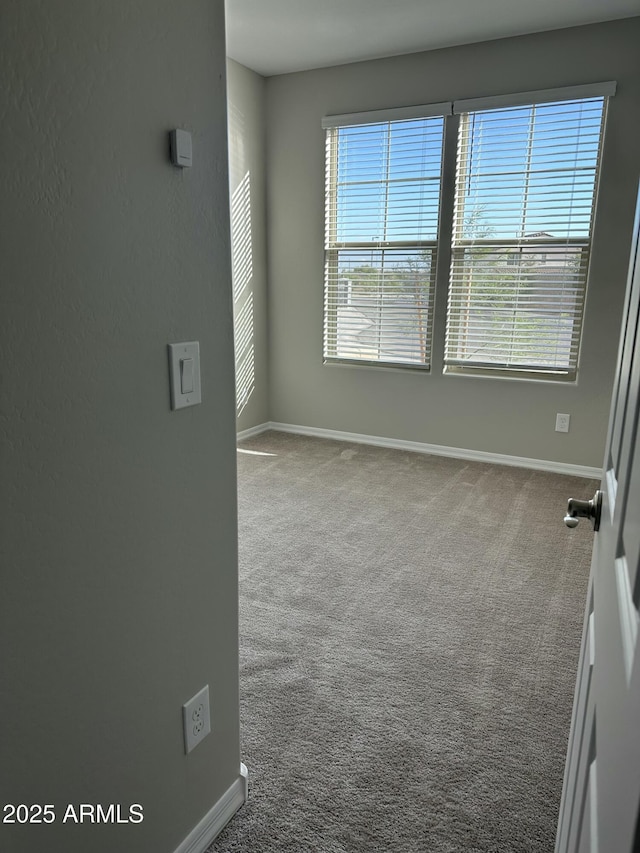 empty room with carpet and a wealth of natural light