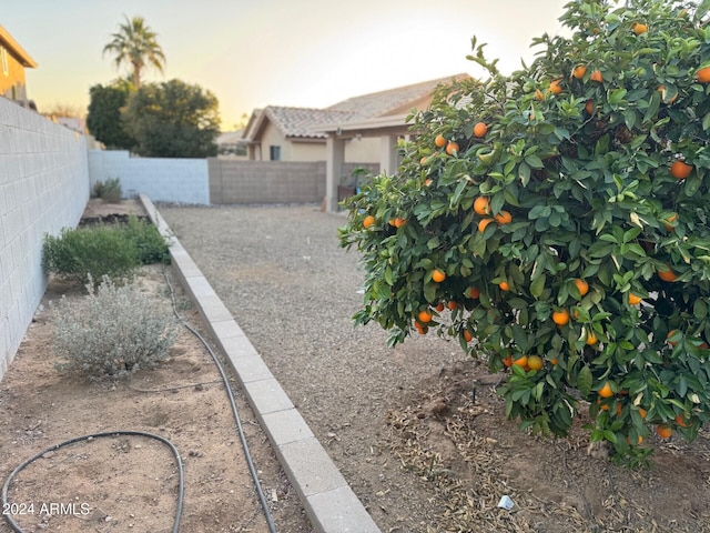 view of yard at dusk