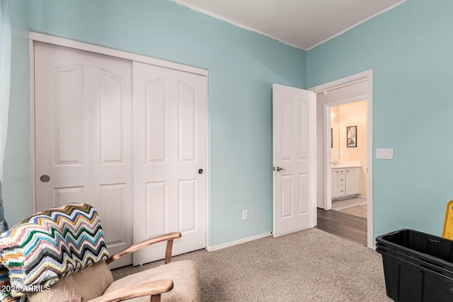 sitting room with carpet flooring