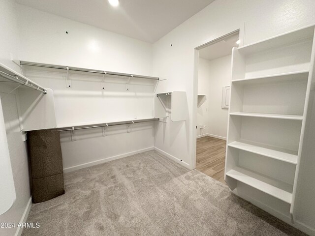 spacious closet with light colored carpet