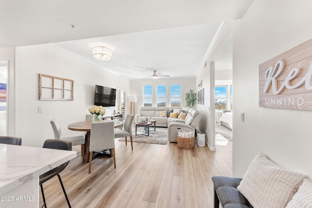 living room featuring ornamental molding, ceiling fan, and light wood-type flooring