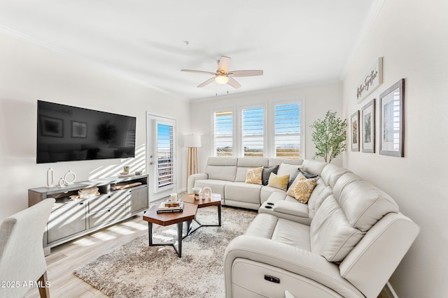 living room featuring ceiling fan, ornamental molding, and light wood-type flooring