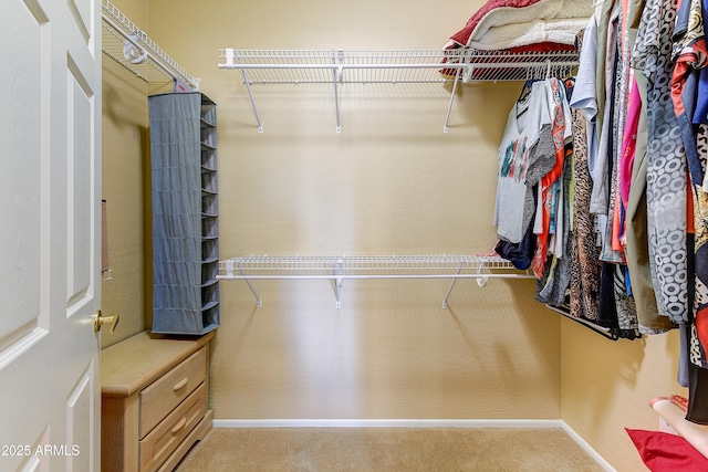 16857 W Villagio Dr, Surprise, AZ 85387 - walk in closet featuring carpet
