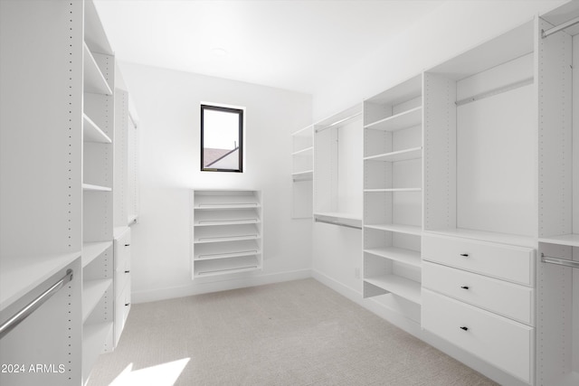 spacious closet featuring light carpet