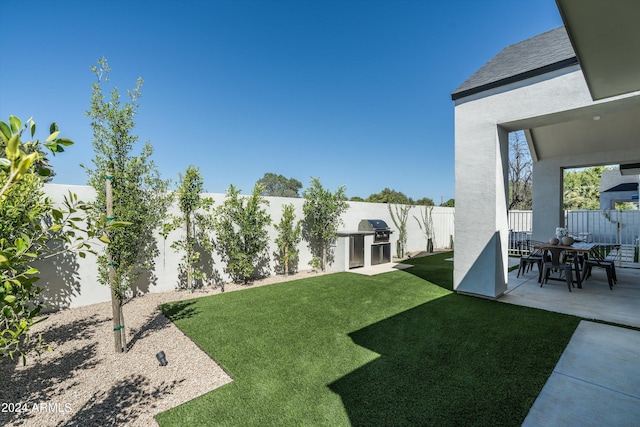 view of yard featuring a patio area and exterior kitchen