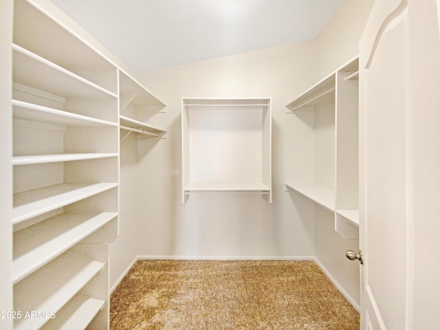 walk in closet featuring carpet