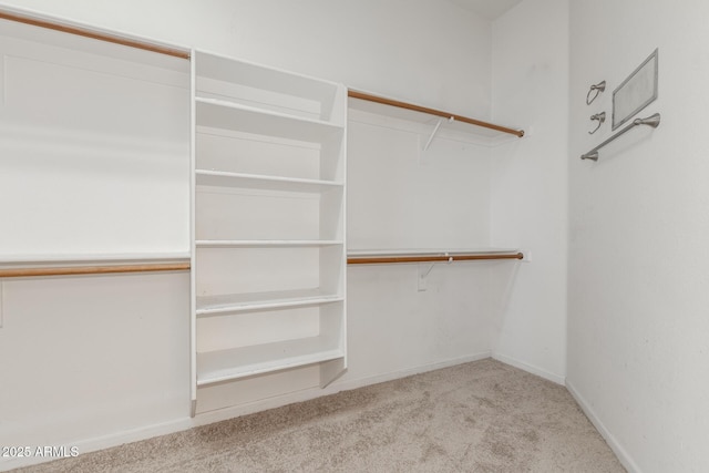 spacious closet featuring carpet