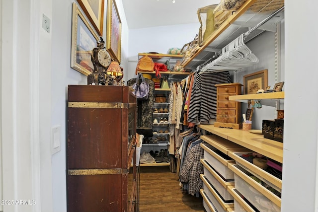 walk in closet with wood finished floors