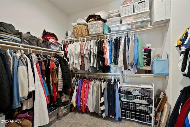 spacious closet with carpet floors